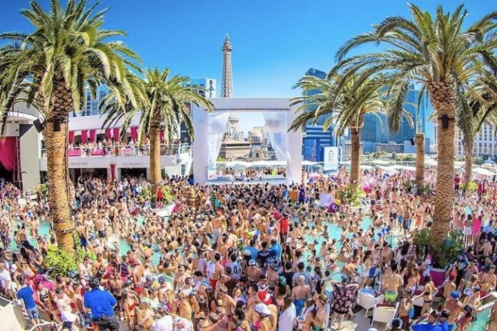 Drai #39 s Beach Club The Official Guide 2020 LasVegasNightclubs com